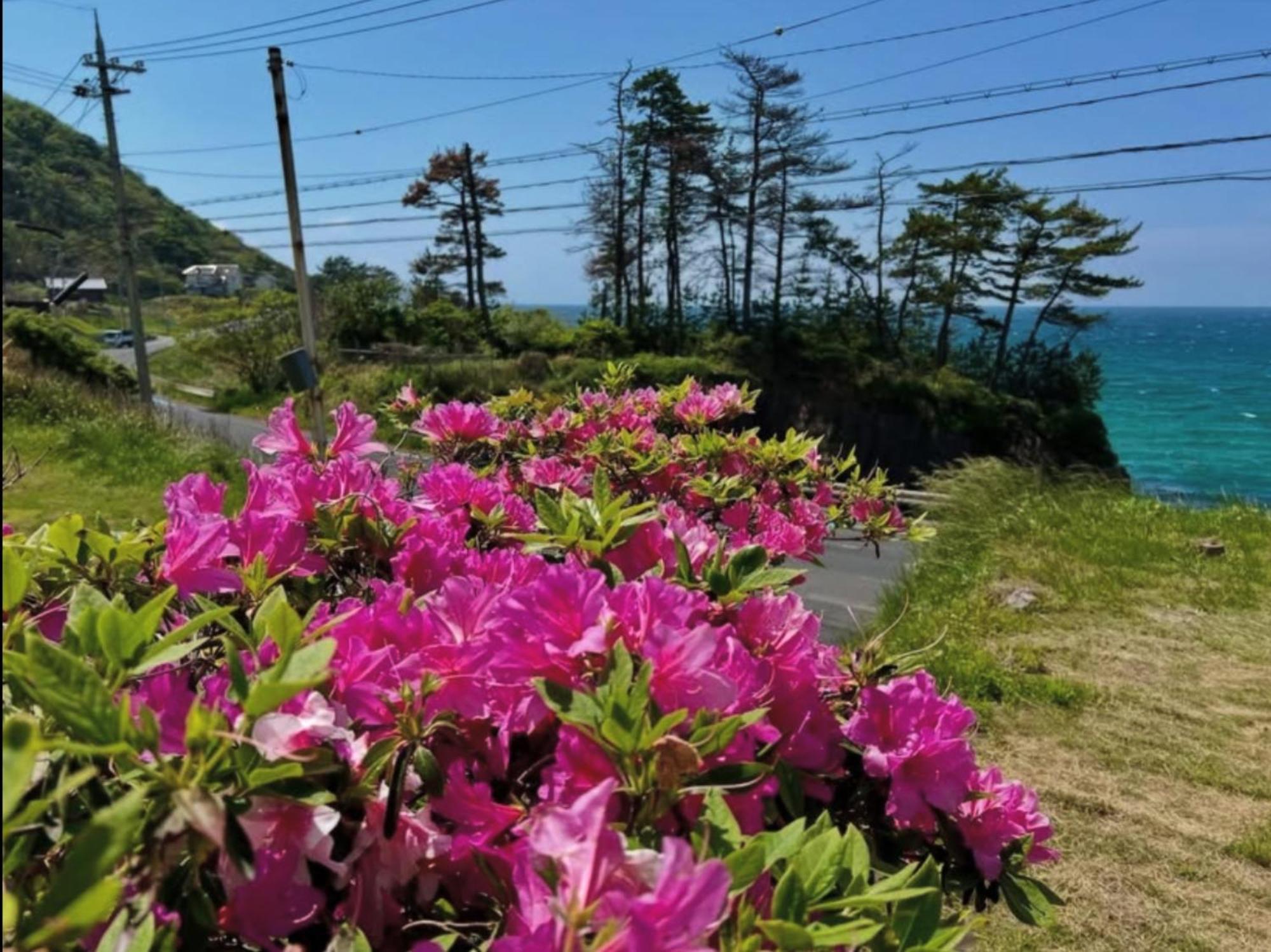 レンタルコテージサントロペ Kyotango Eksteriør billede